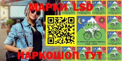 крисы Кингисепп