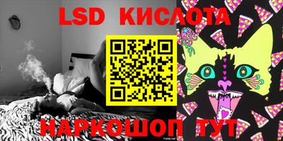 крисы Кингисепп