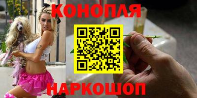 крисы Кингисепп