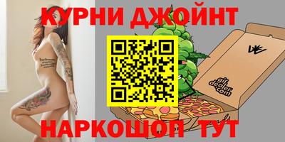 крисы Кингисепп