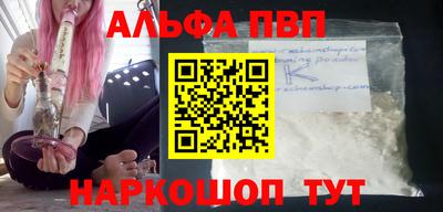 крисы Кингисепп