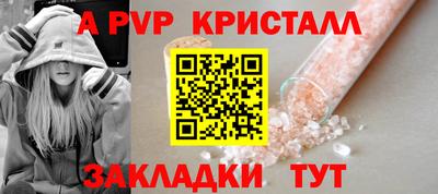 крисы Кингисепп