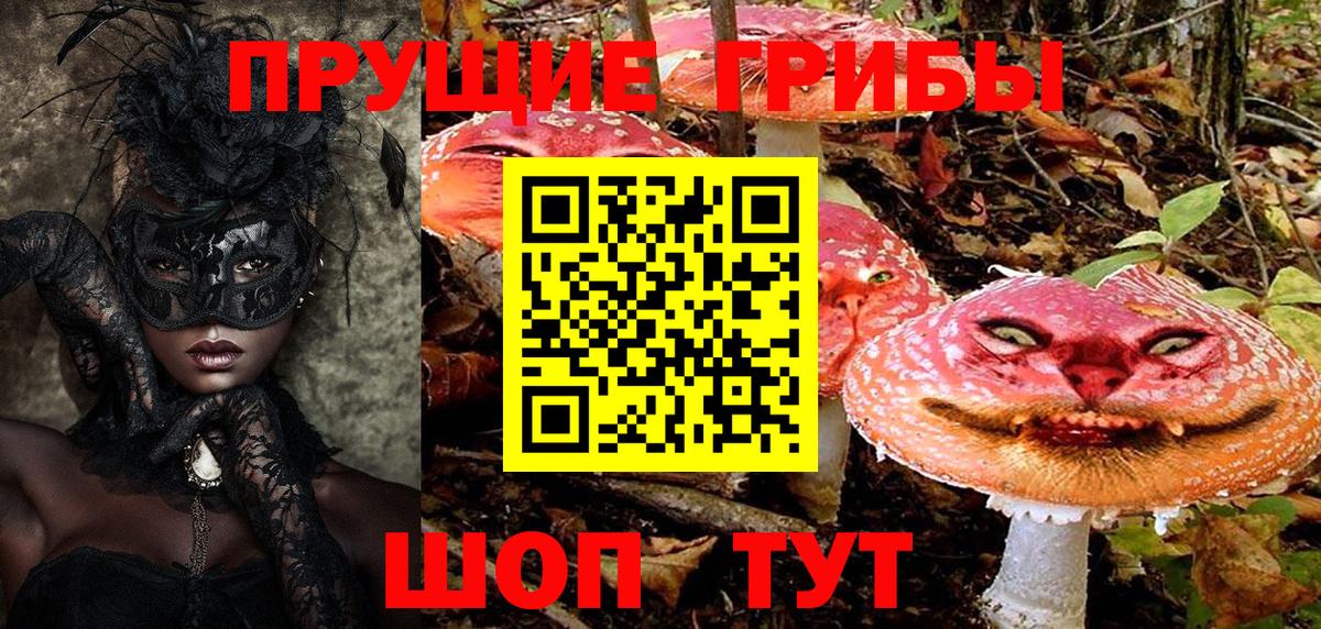 Кувандык  Псилоцибиновые грибы прущие грибы  Псилоцибиновые грибы мухоморы  Вход с VPN 