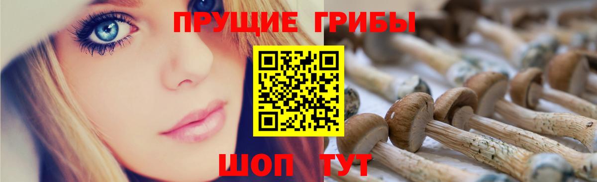 Галлюциногенные грибы Magic Shrooms Кувандык
